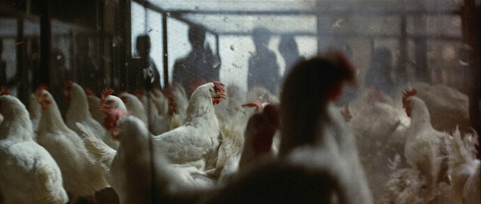 Violent.Streets.1974.1080p.WEB-DL.DD+2.0.H.264-SbR.mkv_snapshot_01.34.33_2021.07.10_13.54.34