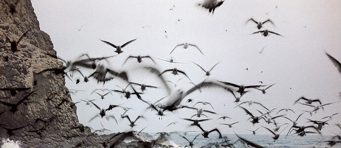 vlcsnap-2020-08-19-01h32m51s324