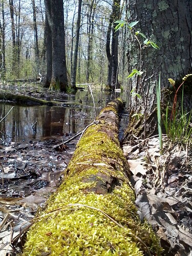 IMG_20070127_233359_convert