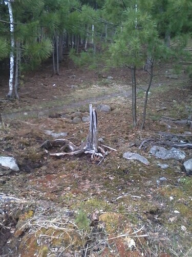 IMG_20070130_202336_convert