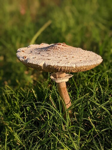 PXL_20230713_123634984.PORTRAIT-01