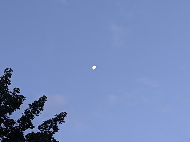 PXL_20220816_112306553