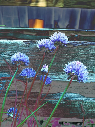 PXL_20220609_172104458-01