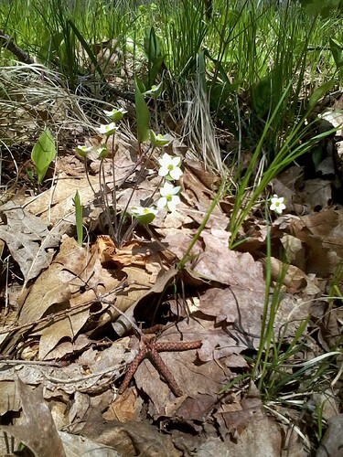 IMG_20070127_233830_convert