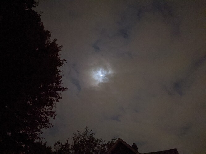 PXL_20221013_112604279