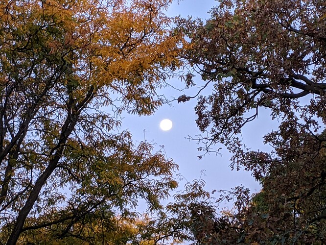 PXL_20221011_121036604