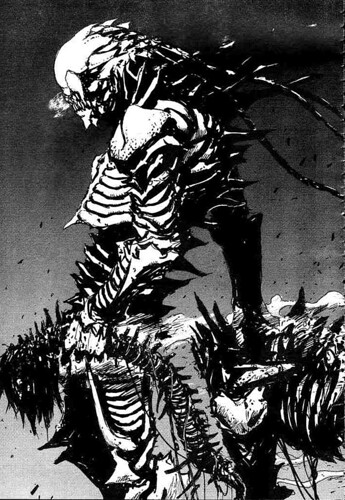 4784466-0852585538-47647