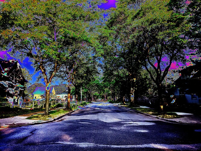 PXL_20220703_120815758-01