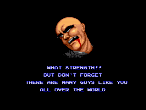 Fighting Street (USA)-230211-120607