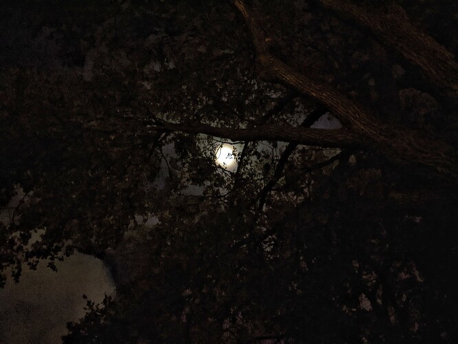 PXL_20221017_112830526.MP-01