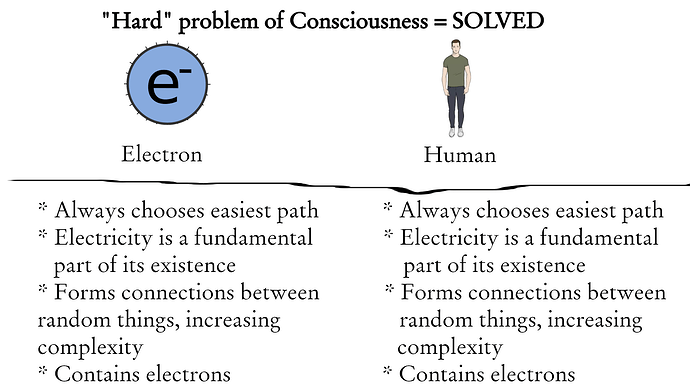 ElectronsHumans