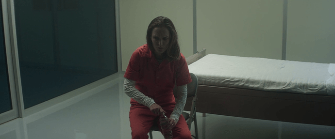 Annihilation.2018.720p.BluRay.x264-YTS.AM.mp4 00_13_132021-08-12-10h06m35s714