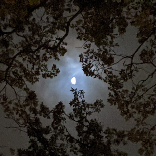 PXL_20221016_113042097.MP-01