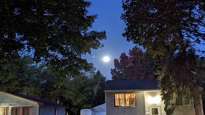 PXL_20221010_114207606.NIGHT