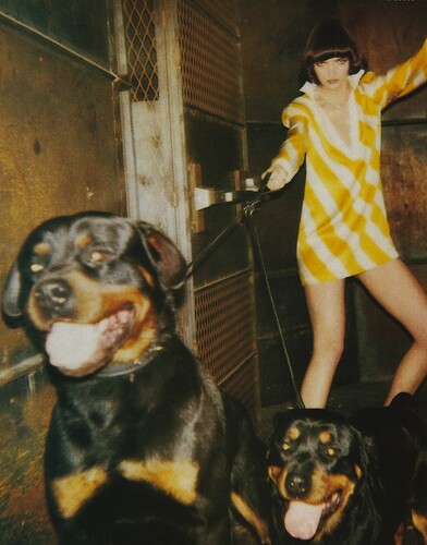 Tumblr_l_741059085278262