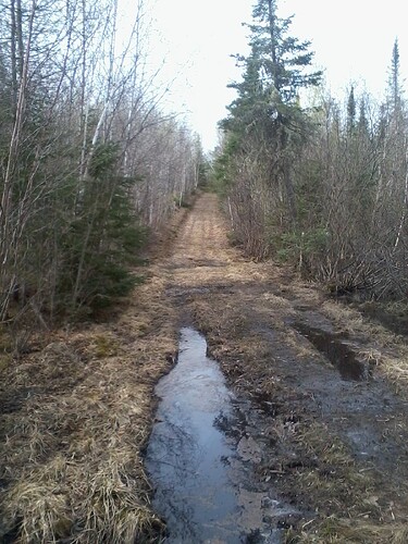 IMG_20070130_205318_convert