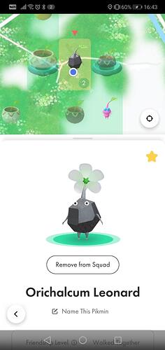 Screenshot_20211228_164344_com.nianticlabs.pikmin