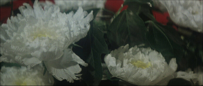 vlcsnap-2021-04-29-13h25m50s930