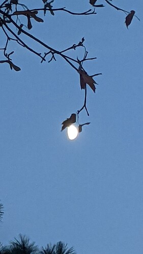 PXL_20221102_231624357-01