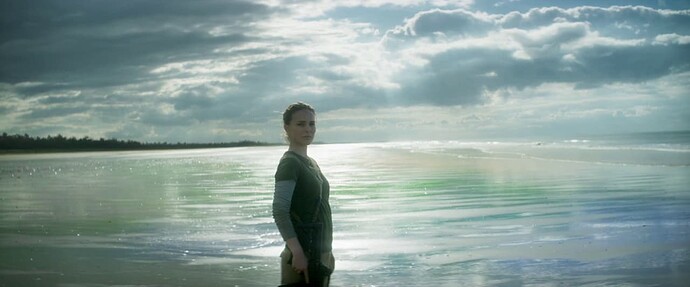 Annihilation.2018.720p.BluRay.x264-YTS.AM.mp4 01_23_292021-08-12-11h16m51s101