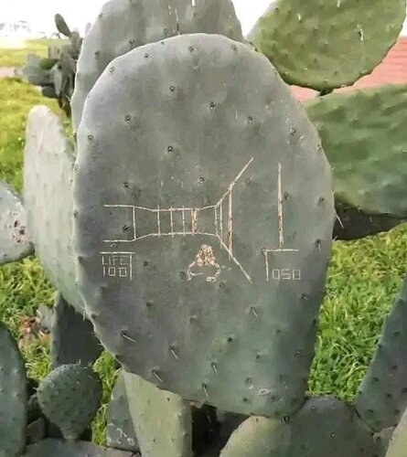 doom_cactus