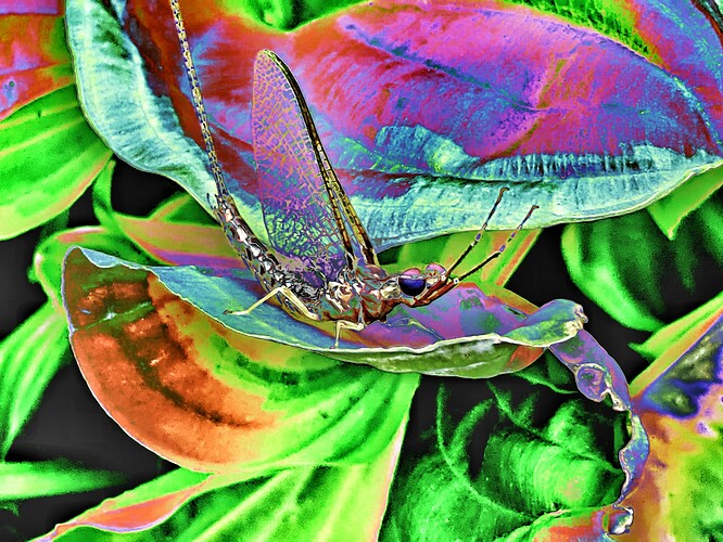 PXL_20220630_001434265-02