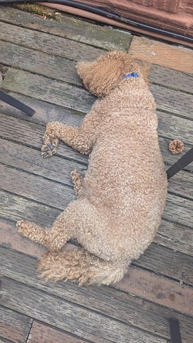 PXL_20250705_025945730