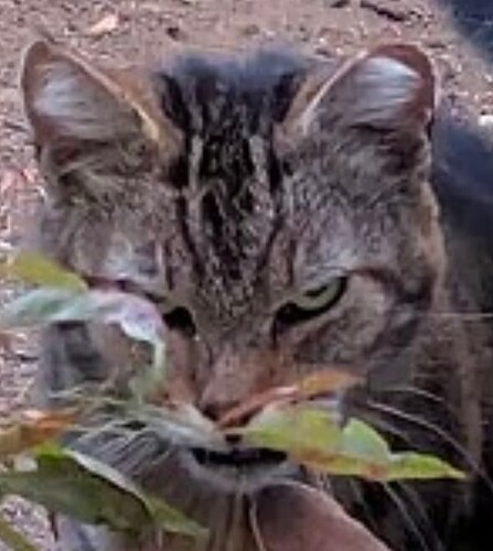 Screenshot_20250716-221418