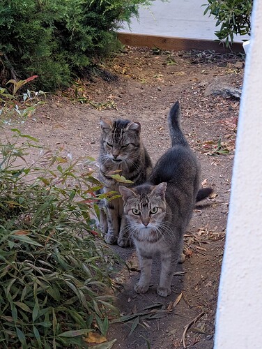 PXL_20250717_033455908