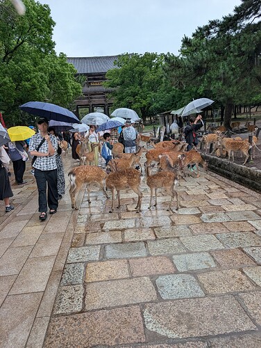 PXL_20260607_022544972