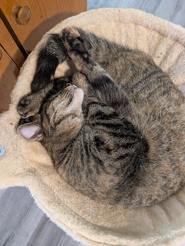 PXL_20251127_185526985.MP