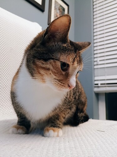 IMG_20260209_204825330_AE