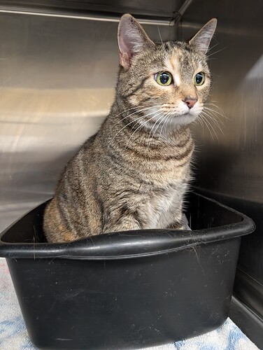 PXL_20260305_123056717