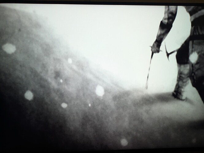 PXL_20251115_194423538