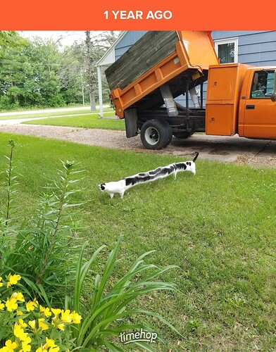 515705624_10162755567884344_4585256237122745152_n