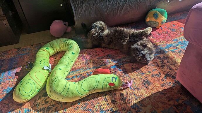 PXL_20250306_220722807