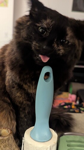 PXL_20260114_061540155