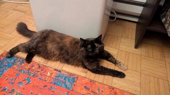 PXL_20250814_092916556