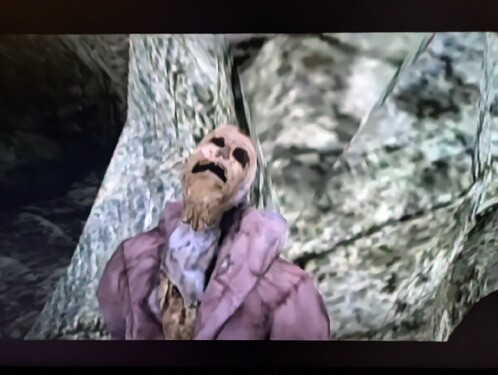 PXL_20251025_174518782