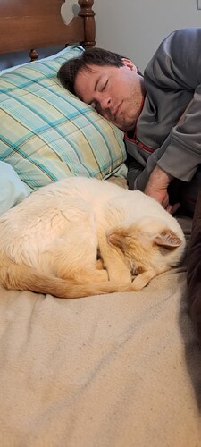 Messenger_creation_C78D992D-CE39-495C-B5E5-981C005FCCB3