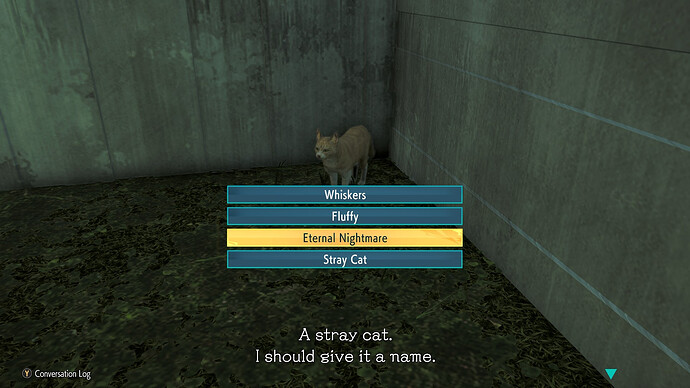 21709a76-4874-4e24-a1be-a56d947445d1-1