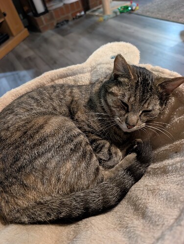 PXL_20260324_233028957