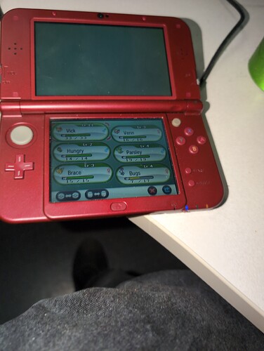 IMG_20250713_201334_136