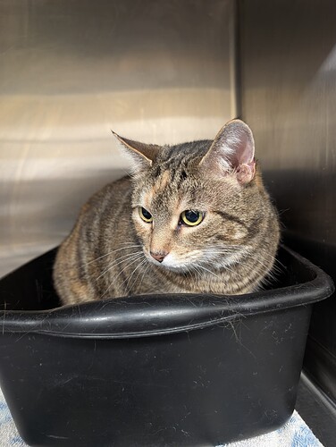 PXL_20260305_123050501