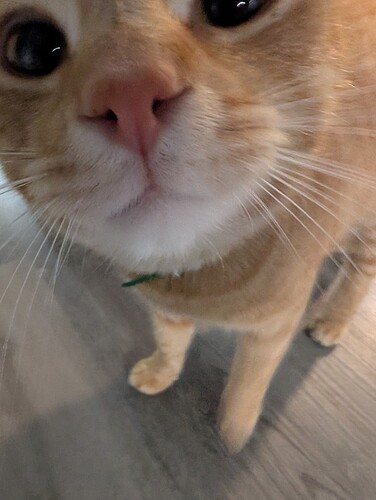 PXL_20260115_024220111