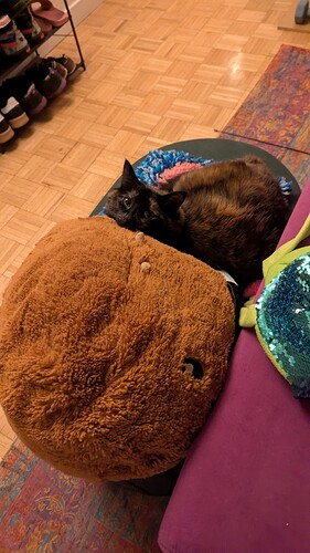 PXL_20260316_030650135