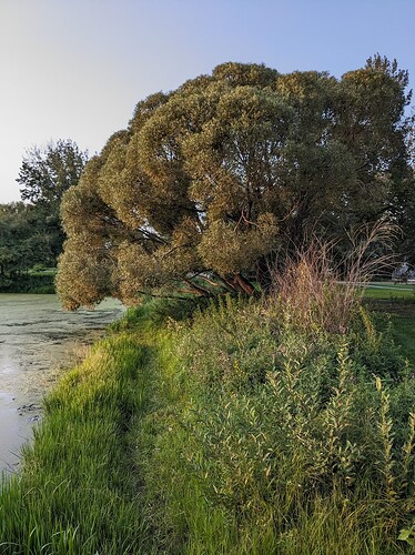 PXL_20230826_015235634