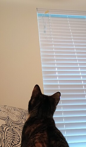 IMG_20251206_122235331_HDR_AE~2