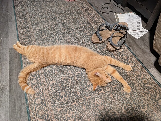 PXL_20260416_000154257