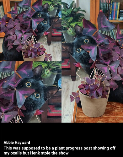 Screenshot_20250808-092418